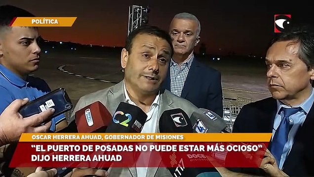 “El puerto de Posadas no puede estar más ocioso”, dijo Herrera Ahuad