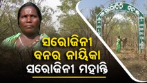 Sarojini Bana | Woman turns barren land into dense forest | OTV