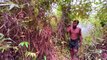 Five Stars Bushman Harvesting Honey Beehive in Jungle