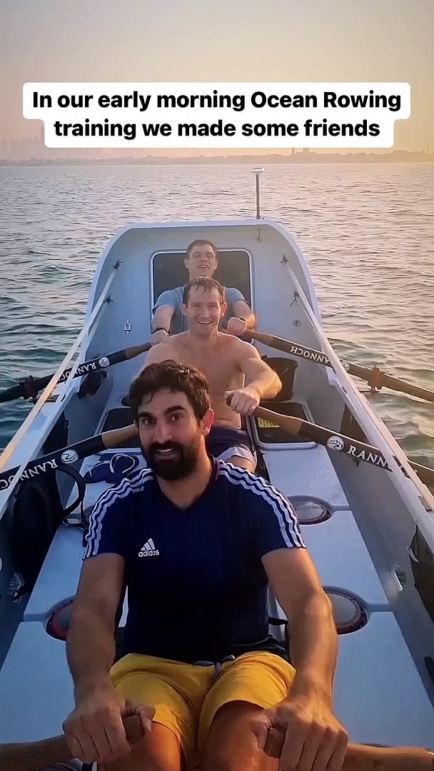 ⁣Dolphins spotted in Dubai: 'Hundreds' of dolphins seen by rowers off Kite beach