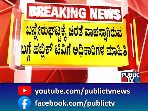 Forest Department To Continue Search Operation For Leopard In Turahalli | Public TV #publictv #leopard Watch Live Streaming On publictv.in/live
