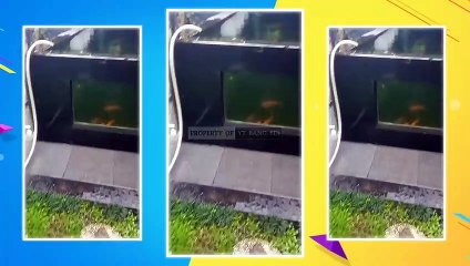 REKAMAN DETIK-DETIK GEMPA GARUT HARI INI 3 DESEMBER 2022! Gempa Garut 6,4 SR