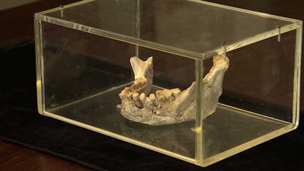 ‘Hallazgo’ en TV3 el primer Homo sapiens fue «catalán»