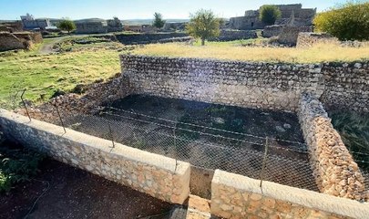 SÜRYANİ RAHİBENİN 36 YIL SONRA DÖNDÜĞÜ KÖYÜNDE DİKTİĞİ ZEYTİN FİDANLARINI KIRDILAR