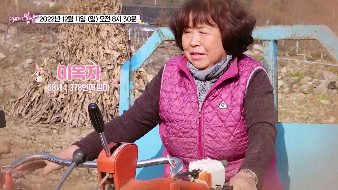 산골 마을 최고 여장부_엄마의 봄날 378회 예고 TV CHOSUN 221211 방송