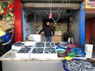 Hamsinin fiyatı 20 TL'ye kadar indi
