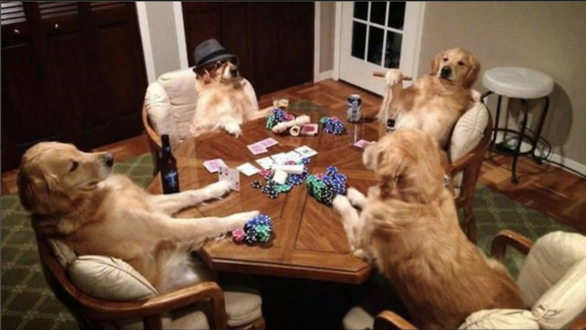 Funny and Cute Golden Retriever Puppy Videos That Will Change Your Mood For  Good #1 - video Dailymotion