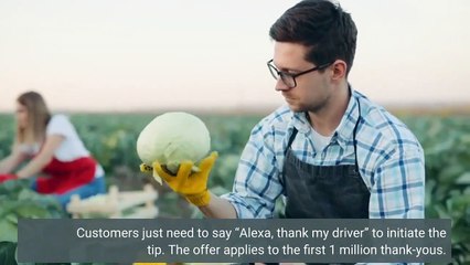 Alexa 'thank my driver' lets customers tip their deliverers  But has