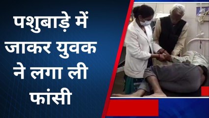 बांदा: पत्नी से हुआ झगड़ा तो पति ने कर लिया ये काम,जिंदगी व मौत से जूझ रहा युवक