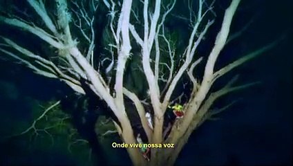 Palmeiras lança vídeo da nova camisa que estreia na final da Copa do Brasil