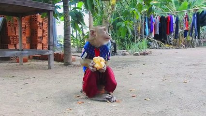 Can You Give Me ! Andy & Halaand Can't Wait, What Happen Next