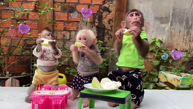 Handsome BiTa drinks coffee, pretty Xuka and Ema drink milk