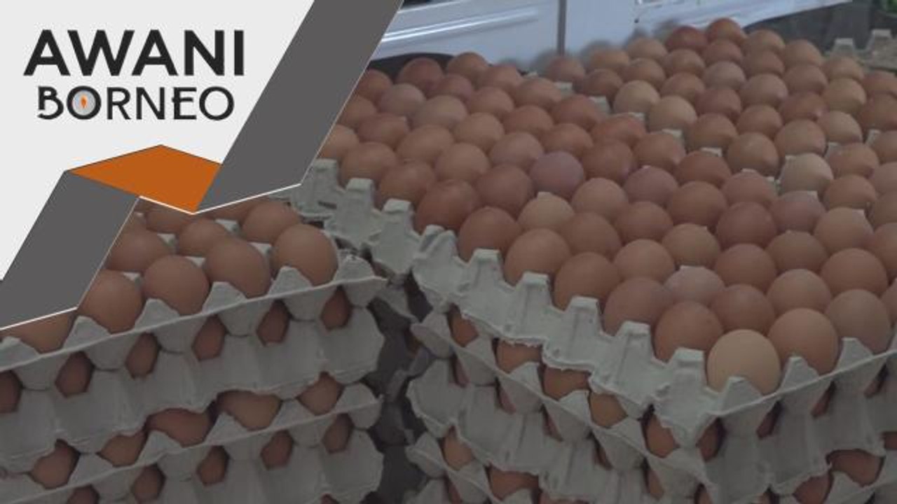 Telur Ayam | Tiada masalah bekalan, tetapi harga mahal