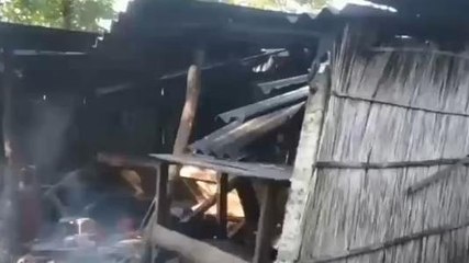 একি কাণ্ড করছে হাতি! দেখুন সেই চাঞ্চল্যকর দৃশ্য