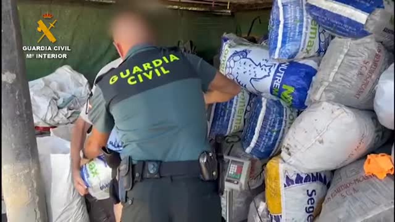 Se esclarece el robo de más de 100 toneladas de algarrobas