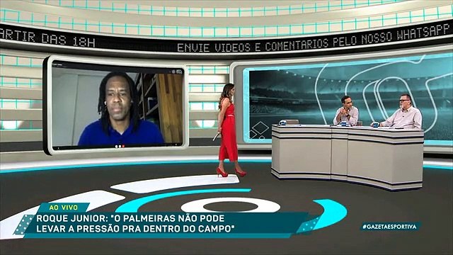 Roque Júnior avalia decisão da Libertadores entre Palmeiras e Santos