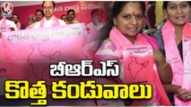 TRS Party Name Changed As BRS | BRS New Flags | V6 News