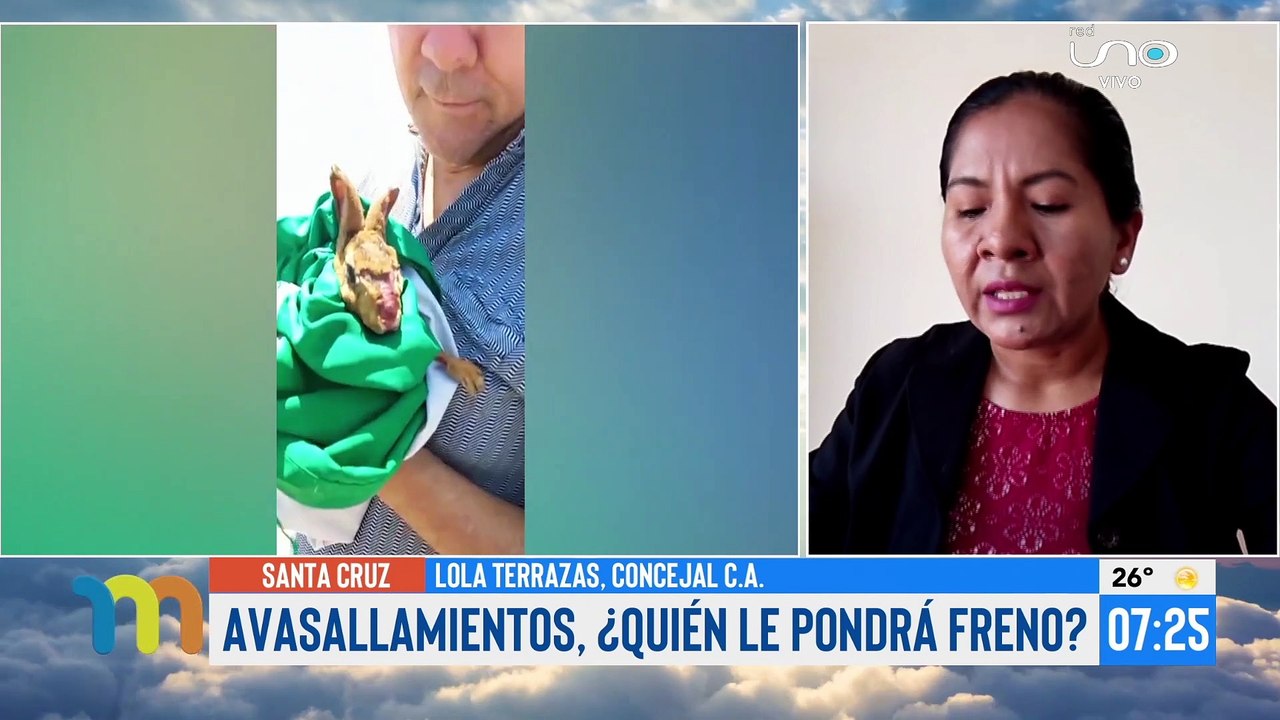 Presentan denuncia penal contra avasalladores de los predios del Centro Turístico Kim por delito ambiental