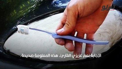 معجون الاسنان سيارة
