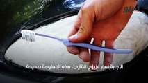 معجون الاسنان سيارة