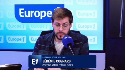 Agriloops, l’élevage breton de gambas grâce à l’aquaponie