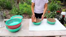 Casting Cement pots from plastic pots