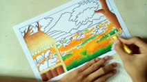 How to draw and color rice fields with oil pastels