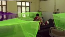 अंबेडकरनगर: डेंगू मरीजों की संख्या बढ़ी, डेंगू प्रभावित क्षेत्रों में पहुंच रही स्वास्थ्य टीम