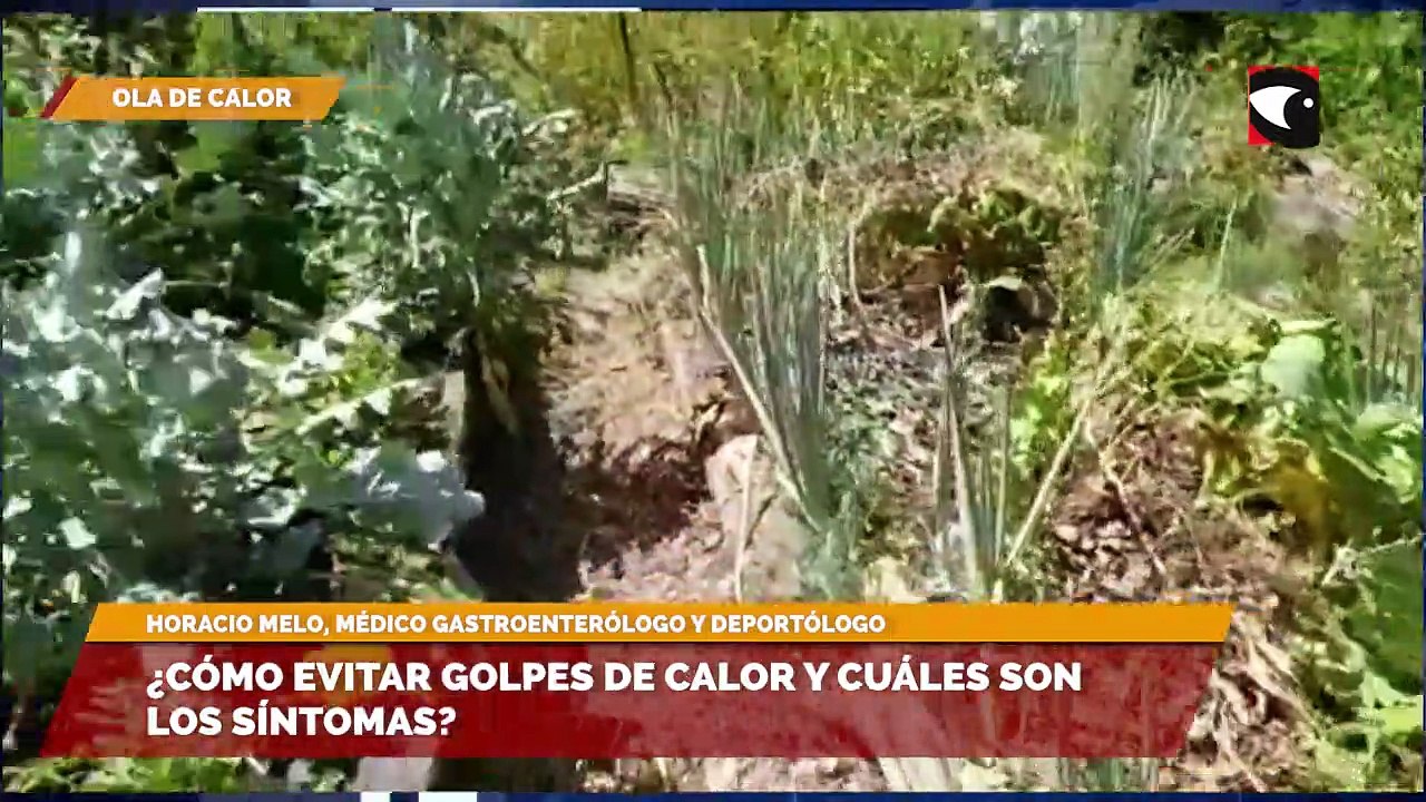 ¿Cómo evitar golpes de calor y cuáles son los síntomas?