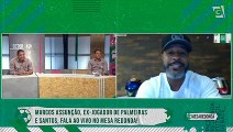 Marcos Assunção dá opinião sobre saída de Luxa e situação do Palmeiras