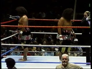 Afa and Sika vs Adrian Adonis and Dick Murdock