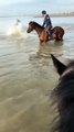 Horse Spooked by Water Bucks Rider Off