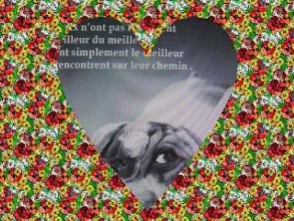 LA VIE