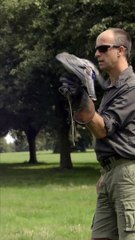 Eagle: The Majestic Bird of Prey 🦅