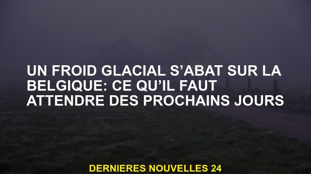 Un froid glacial tombe sur la Belgique: à quoi s'attendre des prochains jours