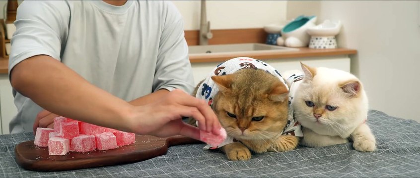 Turkish Delight is a very popular Turkish dish