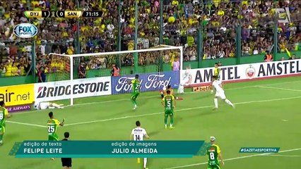 Novo normal: o que será desta "nova" Libertadores?