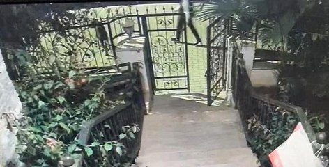 MARMARİS'TE 'CİNS KÖPEK' HIRSIZLIĞI KAMERADA