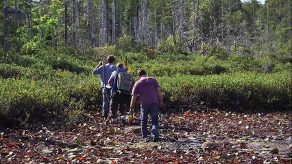 The Curse of Oak Island|Bonus: The Swamp|S4|E1