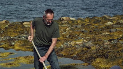 The Curse of Oak Island|Bonus: The Coconut Fiber Discovery|S4|E7