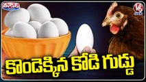 Egg Prices Hike In State _ V6 Teenmaar