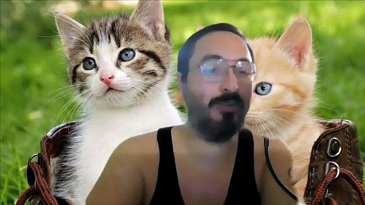 Chiste gatito. Chistes de la Selva. David del Real.