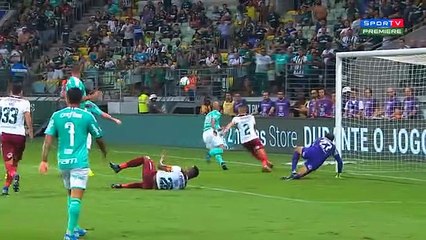 Melhores momentos da vitória do Palmeiras sobre o Fluminense