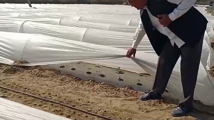 राजस्थान में बदला मौसम, देखें वीडियो