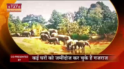 Chhatisgarh News: हाथियों के दल से दहशत में ग्रामीण