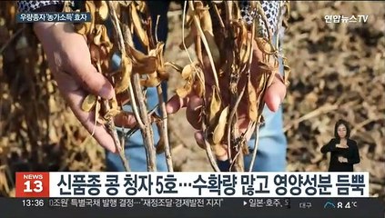 소득 높은 기능성 밭작물…우량종자 보급확대
