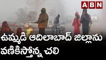 ఉమ్మడి ఆదిలాబాద్ జిల్లాను వణికిస్తోన్న చలి || ABN Telugu