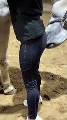 Horse Gives Scritches Back