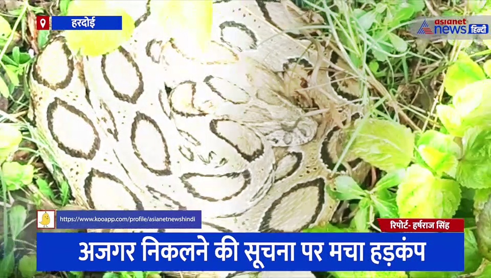 अजगर निकलने की सूचना पर ग्रामीणों में हड़कंप, जानिए क्यों रेस्क्यू करने पहुंची टीम हुई हैरान