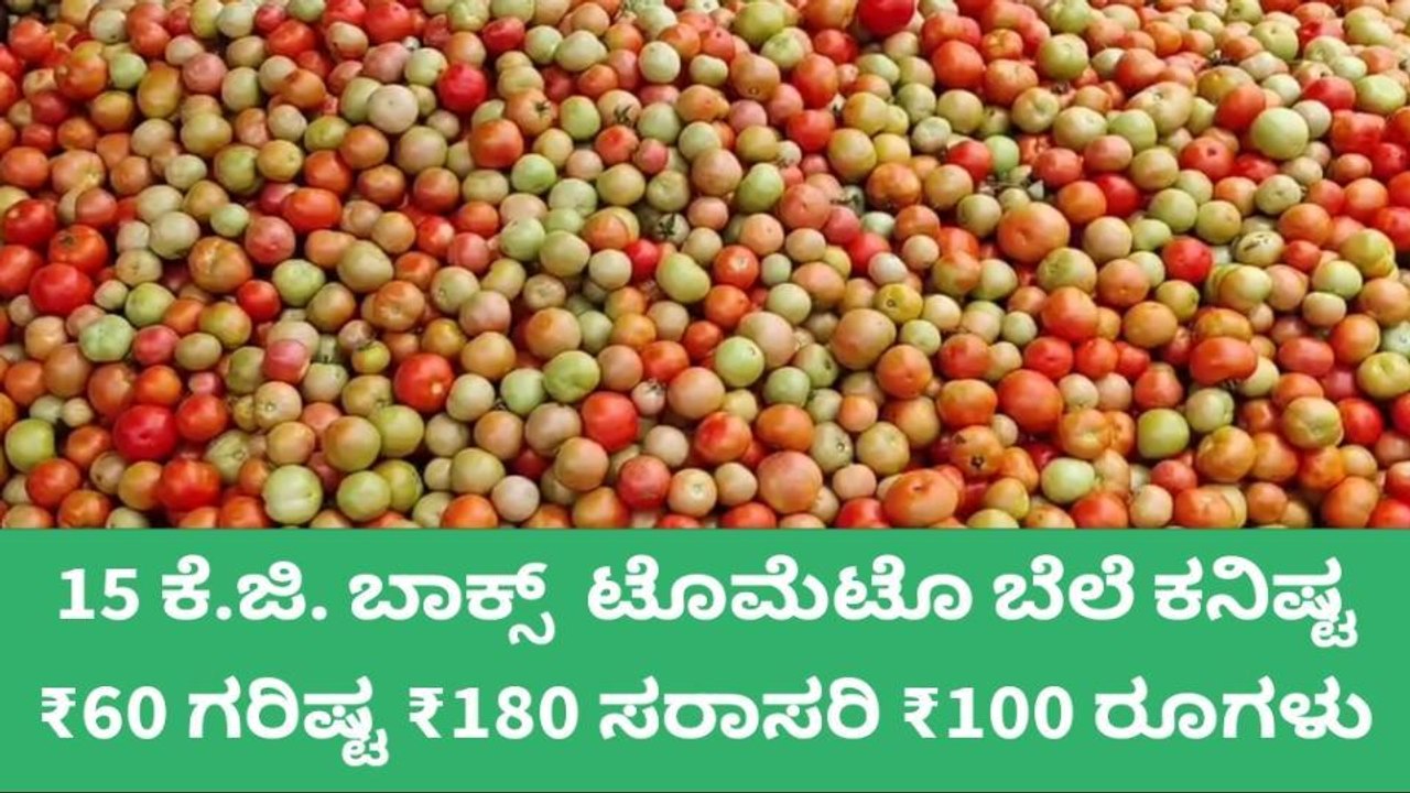 ಏರಿಕೆಯಾಗದ ಟೊಮೊಟೊ ಬೆಲೆ : ಆತಂಕದಲ್ಲಿ ರೈತರು